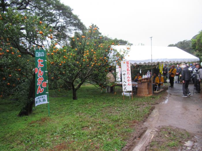 R60202たんかん鋏入れ式