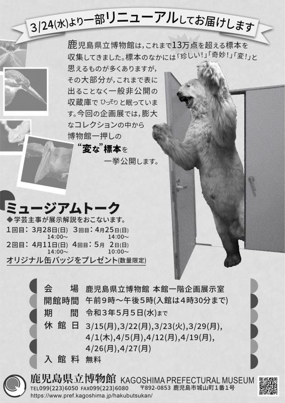 変な標本ポスター裏