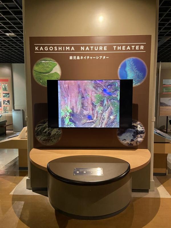 ネイチャーシアター