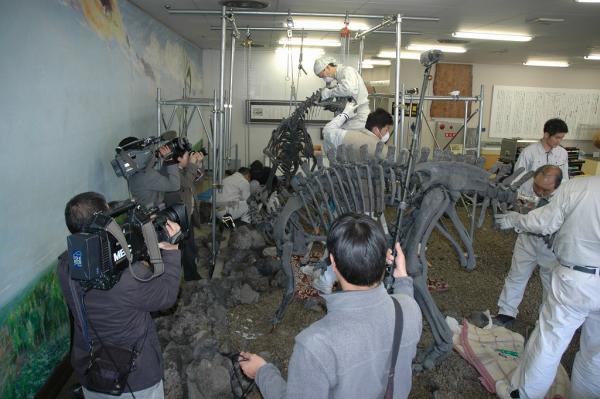 恐竜化石変更10