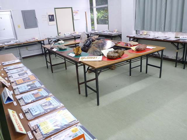 12さわっても良いよ