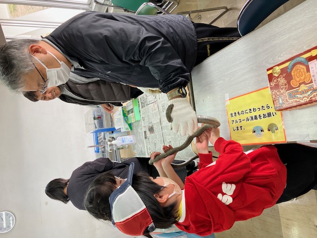 ブキミな動物にさわろう