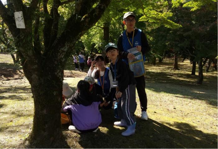 いいものみっけ