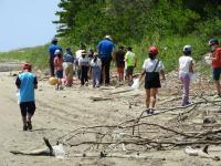 ビーチコーミング