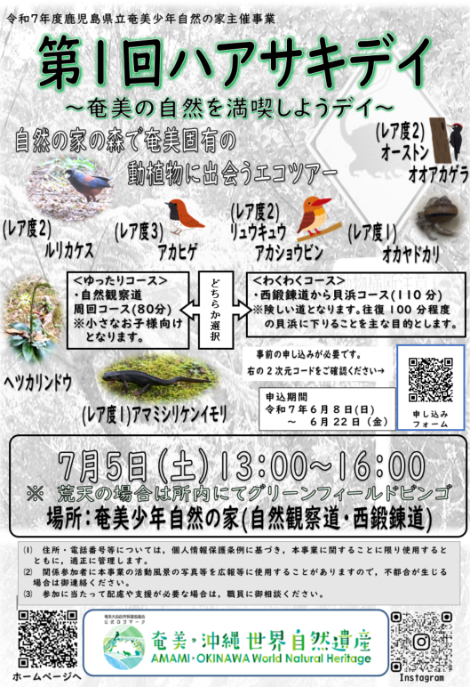 ハアサキディ　チラシ