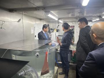 ツキヒガイ種苗生産研究所