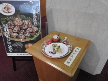 料理写真