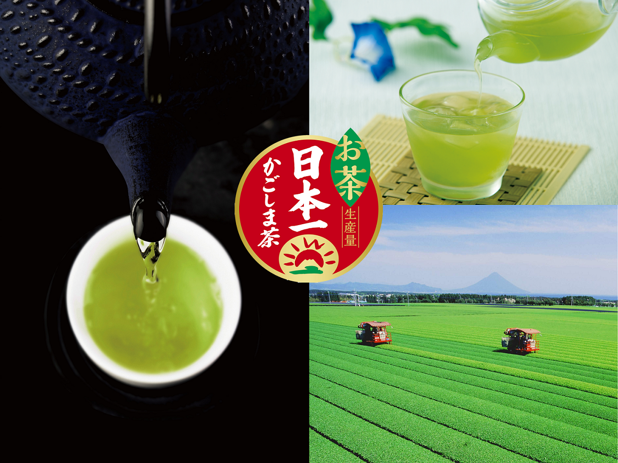 お茶生産量日本一「かごしま茶」　